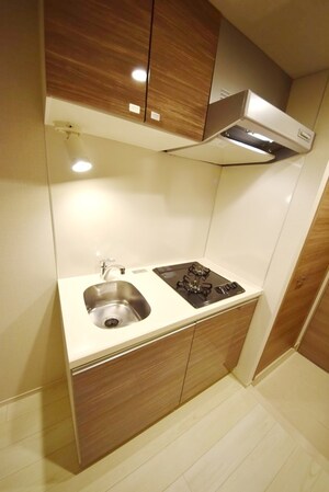 DIPS金町レジデンスの物件内観写真